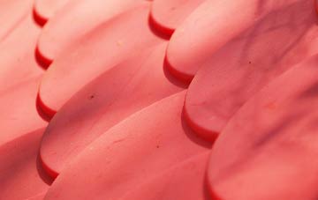 Stepney plastic roof costs