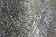 Stepney fibreglass roof work